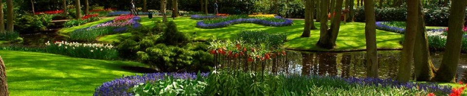 Grass and beutiful flowers and a pond