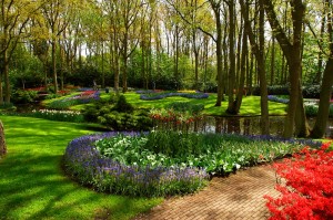 Beautiful flowers, Green Grass, Trees and pond